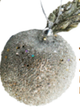 Jewelled Silver Apple Small 7cm