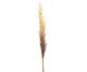 Soft Natural Reed Spray 104cm
