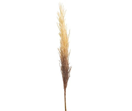Soft Natural Reed Spray 104cm HW Planters, Foliage, Artificial Flowers Robert Mark   
