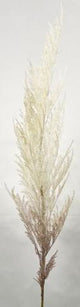 Soft Natural Coral Reed Spray 109cm