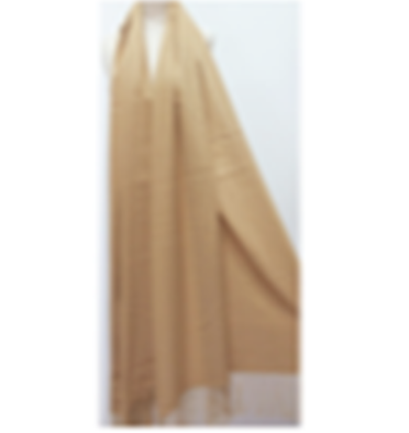 Camel 100% Viscose Fringe 70x190cm Scarf ACC Scarves Frontier   