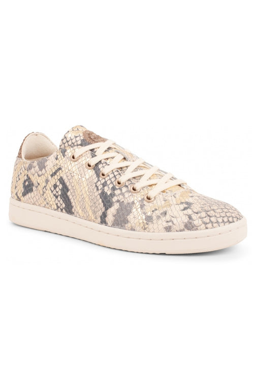 Jane Off White Snake Leather Sneaker ACC Shoes - Sneakers Woden   