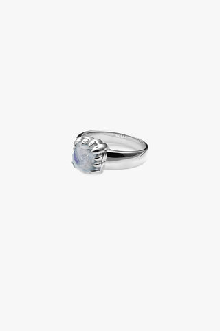 Baby Claw Moonstone Ring ACC Jewellery Stolen Girlfriends Club   