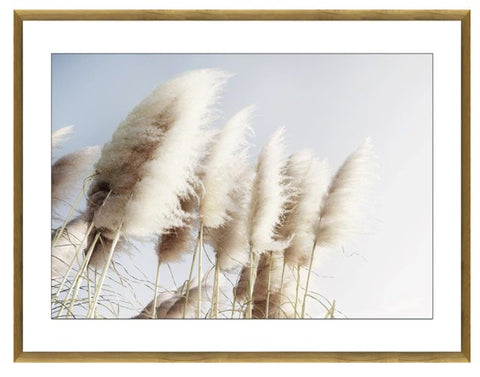 Pampas Grass Glass Framed Print Oak Look Frame 80x120cm HW Art - Wall Decor, Clock, Wall Mirror Robert Mark   