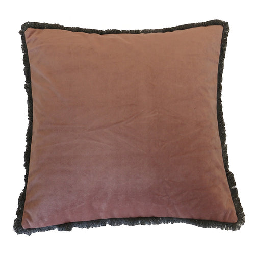 Velvet Fringed Blush Cushion 45x45cm HW Cushions Le Forge   