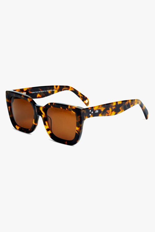 Harlow Tort Brown Polar Sunglasses ACC Glasses - Sunglasses Sito   