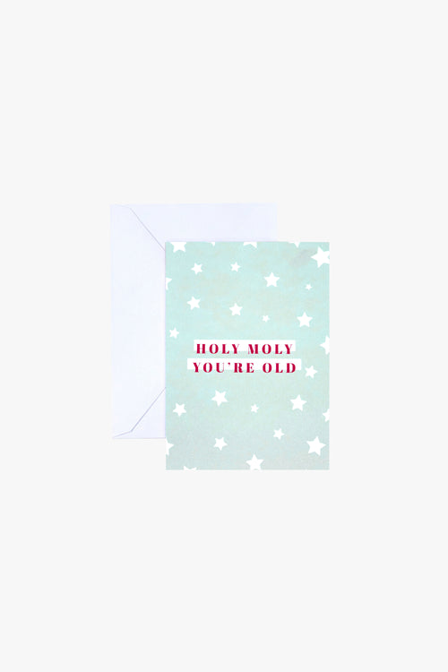 Holy Moly Grey with White Star Greeting Card HW Greeting Cards Papier HQ   