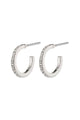 Roberta Pi Silver Plated Crystal 12mm Earrings