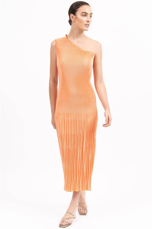 Soiree One Shoulder Orange Pleated Maxi Dress WW Dress L'idee   