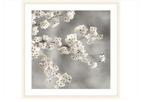 Springing Frame Canvas Print 100x100cm HW Art - Wall Decor, Clock, Wall Mirror Start With Art   