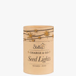 Charge & Go Silver Warm White Rechargable 3m String Seed Lights HW Lighting - Lamp, Candleholder, Lantern, Shade Stellar Haus   