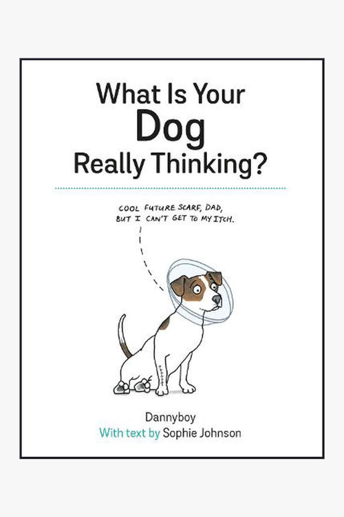 What Is Your Dog Really Thinking? HW Books Nationwide Book   
